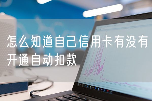 怎么知道自己信用卡有没有开通自动扣款