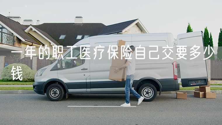 一年的职工医疗保险自己交要多少钱
