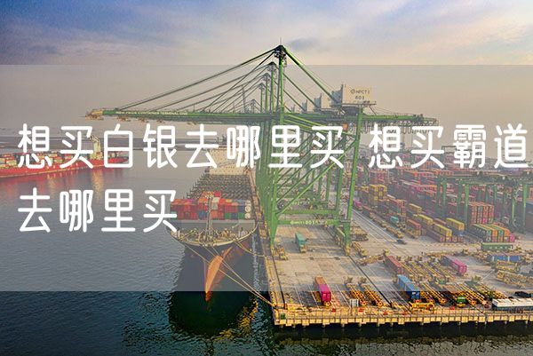 想买白银去哪里买 想买霸道去哪里买