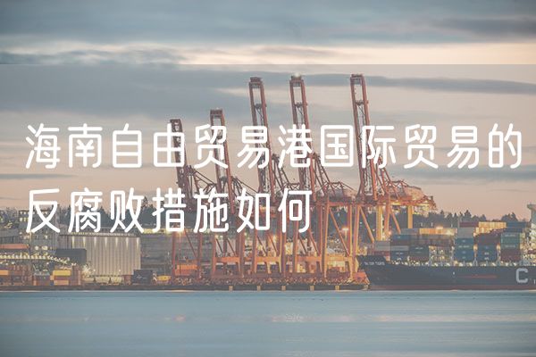 海南自由贸易港国际贸易的反腐败措施如何