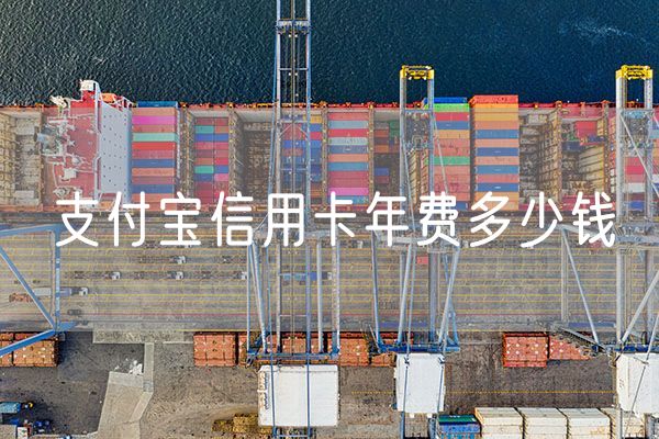 支付宝信用卡年费多少钱