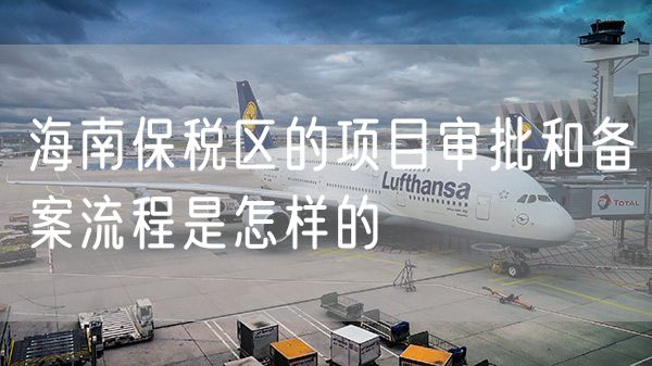 海南保税区的项目审批和备案流程是怎样的