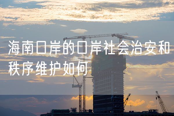 海南口岸的口岸社会治安和秩序维护如何