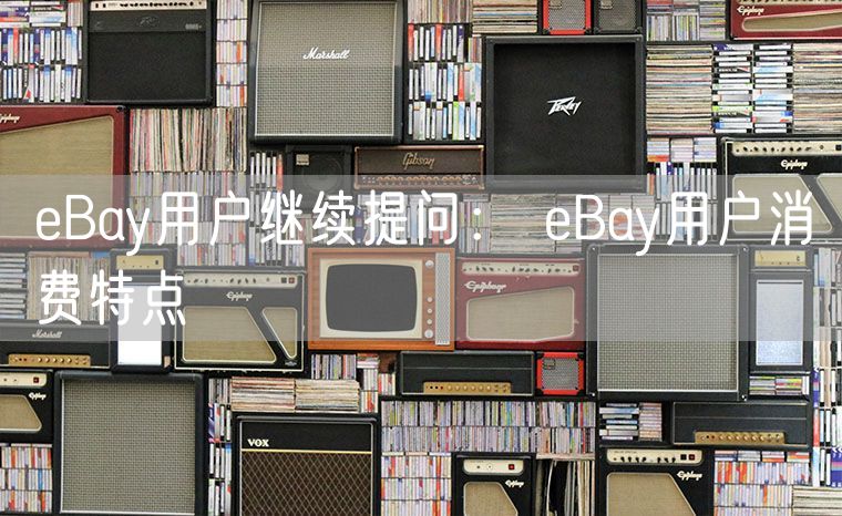 eBay用户继续提问： eBay用户消费特点