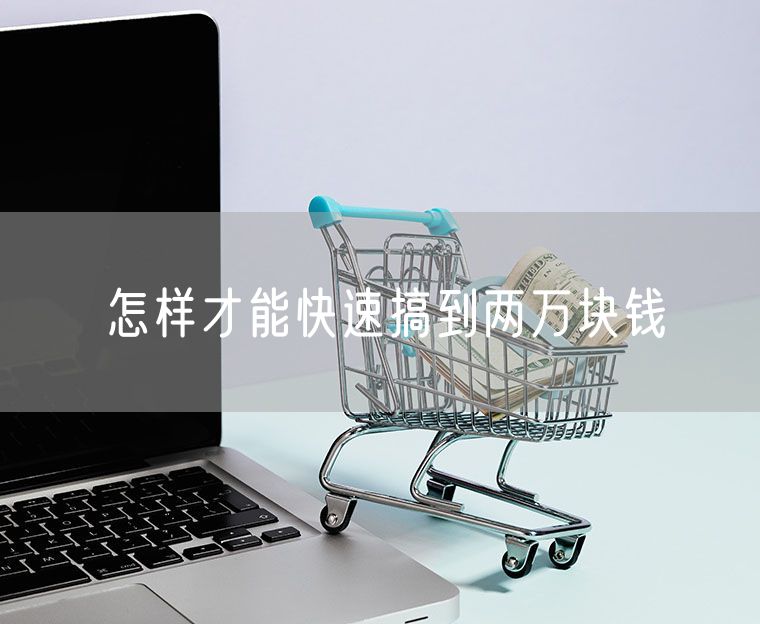 怎样才能快速搞到两万块钱