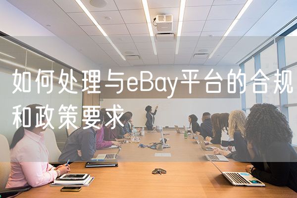 如何处理与eBay平台的合规和政策要求
