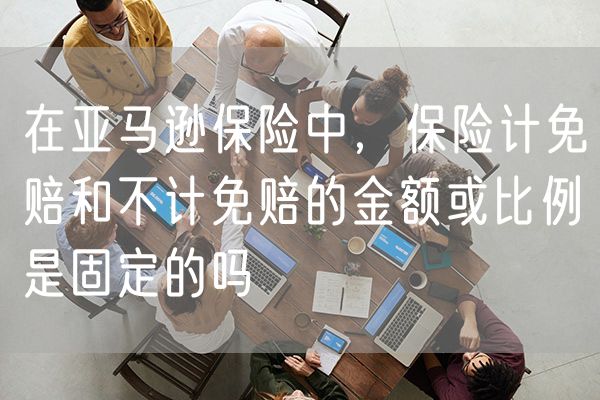 在亚马逊保险中，保险计免赔和不计免赔的金额或比例是固定的吗