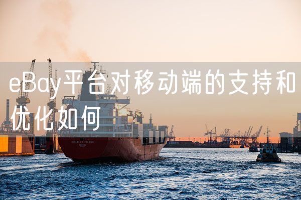 eBay平台对移动端的支持和优化如何