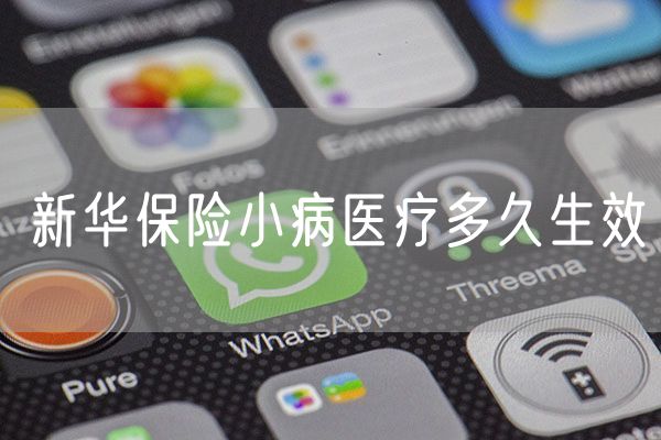 新华保险小病医疗多久生效