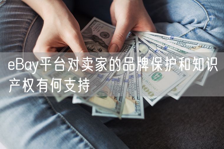 eBay平台对卖家的品牌保护和知识产权有何支持
