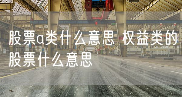 股票a类什么意思 权益类的股票什么意思