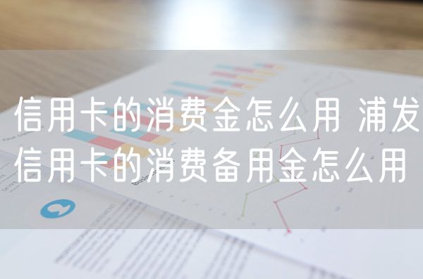 信用卡的消费金怎么用 浦发信用卡的消费备用金怎么用