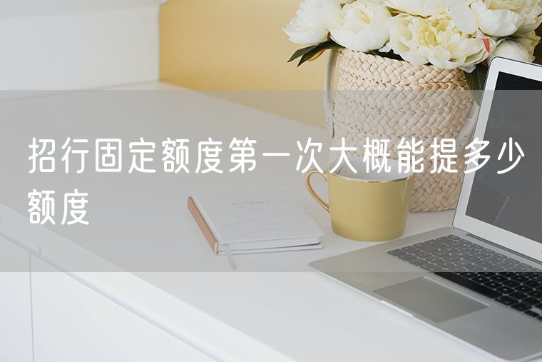 招行固定额度第一次大概能提多少额度