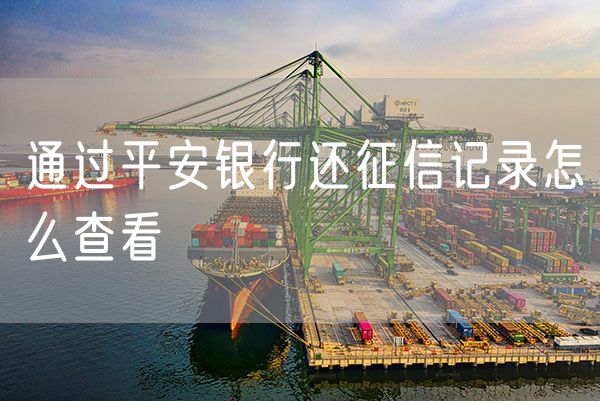 通过平安银行还征信记录怎么查看