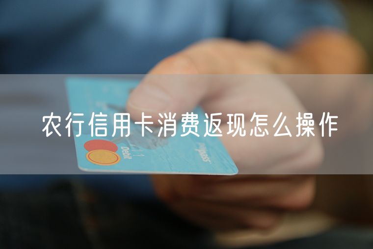 农行信用卡消费返现怎么操作