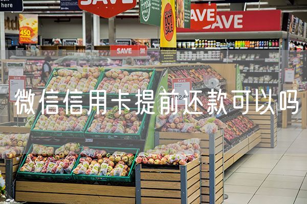 微信信用卡提前还款可以吗