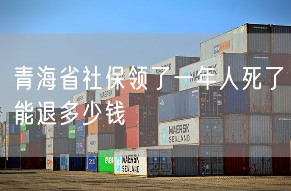 青海省社保领了一年人死了能退多少钱