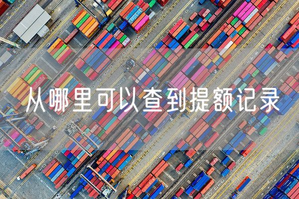 从哪里可以查到提额记录
