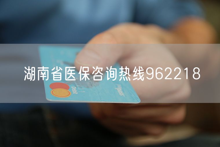 湖南省医保咨询热线962218