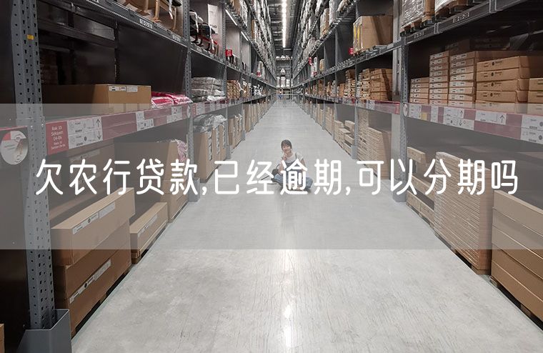 欠农行贷款,已经逾期,可以分期吗