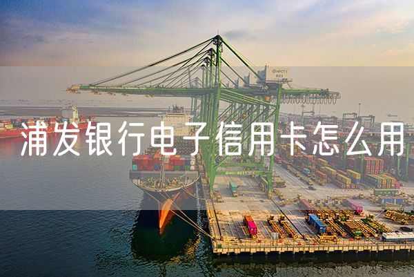 浦发银行电子信用卡怎么用