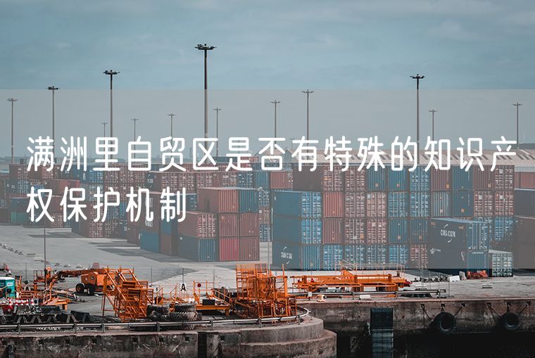 满洲里自贸区是否有特殊的知识产权保护机制