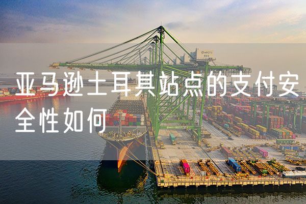 亚马逊土耳其站点的支付安全性如何