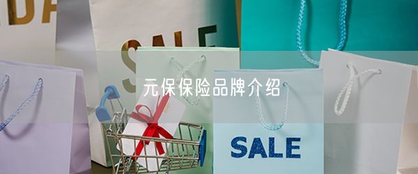 元保保险品牌介绍
