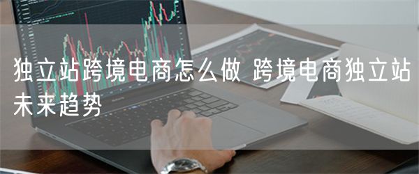 独立站跨境电商怎么做 跨境电商独立站未来趋势